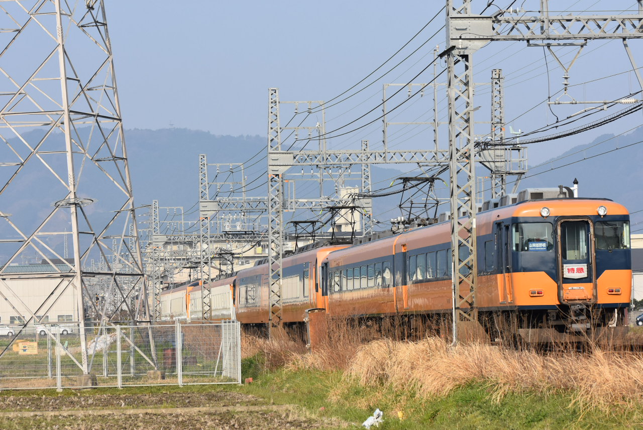 DSC_9295.JPG