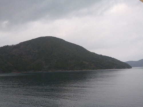 P1140717(1).JPG