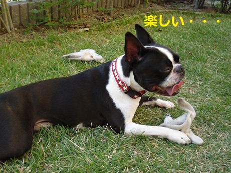 DSC04998.jpg