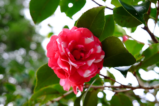 2015 12 15_1152.jpg
