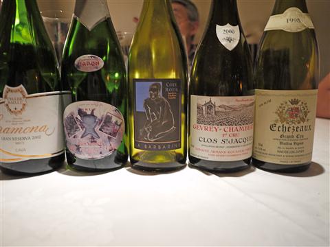 P1130428(1).jpg