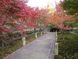 IMG_2768ss.jpg