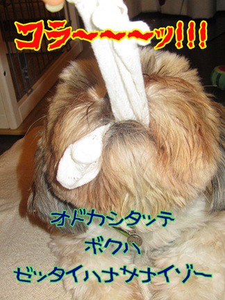 IMG_1805-m-m.jpg