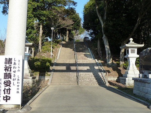2013.3.17 030.JPG