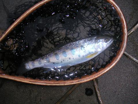 2012.05.03 004.jpg