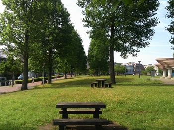 DCIM1861奈良山公園2.jpg