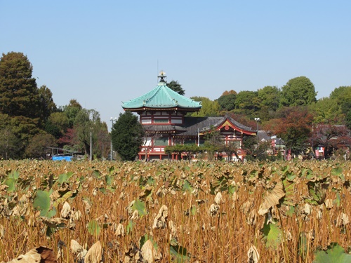 上野公園