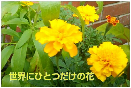 rblog-20160827120400-00.jpg