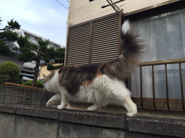 rblog-20160425153725-04.jpg