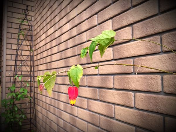 rblog-20160330184331-05.jpg