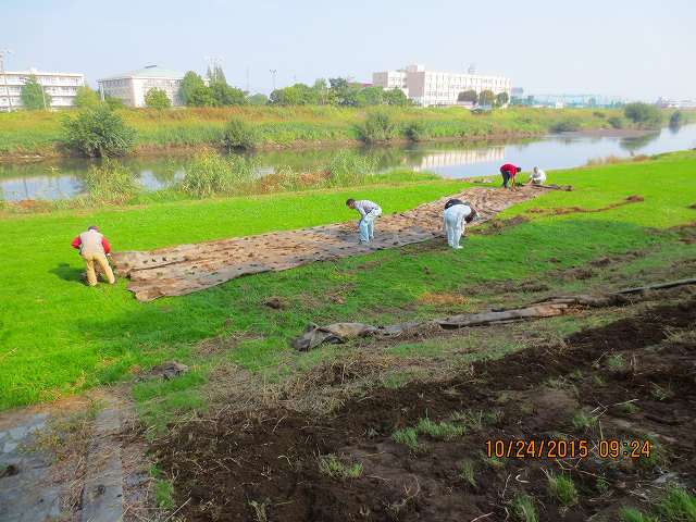 20151024元荒川清掃０３