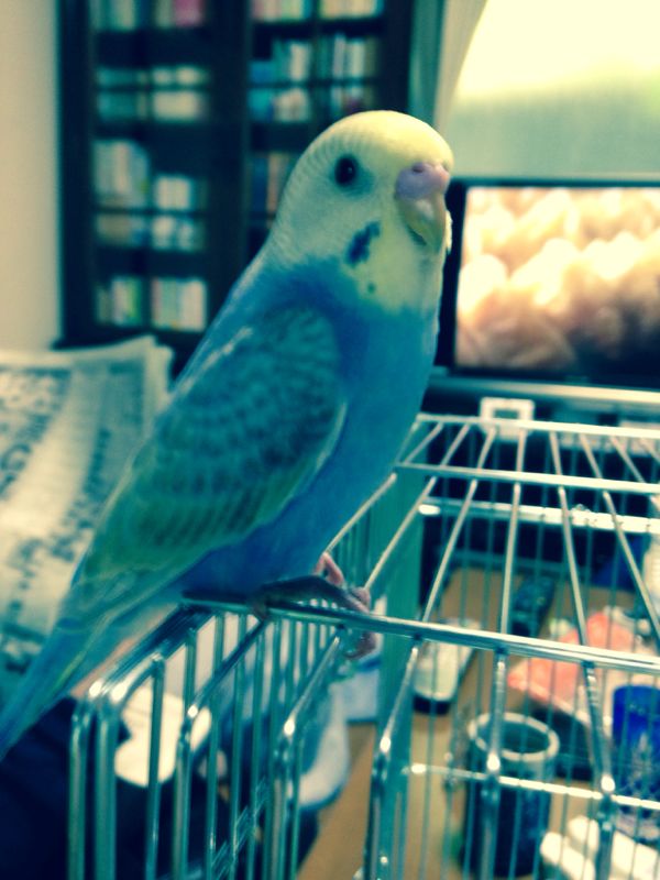 rblog-20140617115257-02.jpg