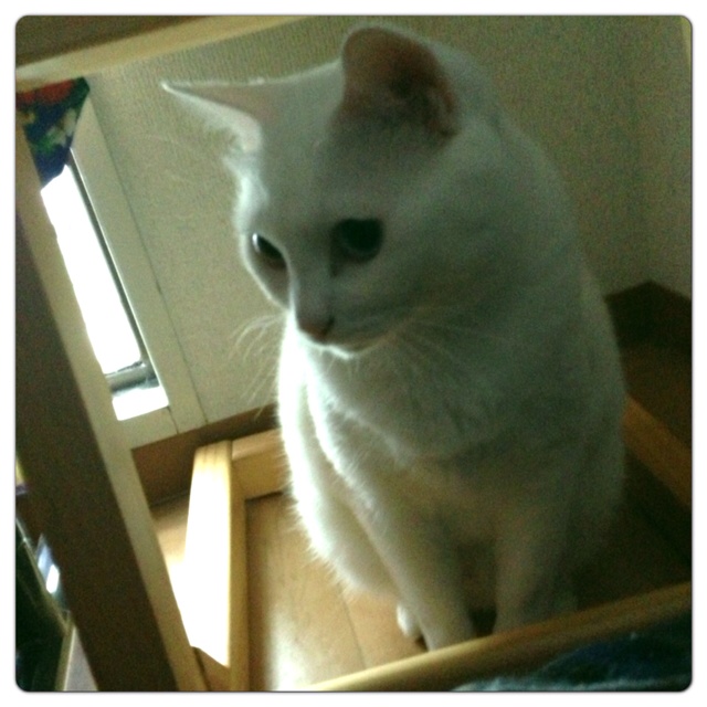 rblog-20130719181409-00.jpg