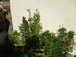 IMG_4819ss.jpg