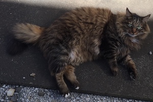 2017-02-26 13.19.24.jpg