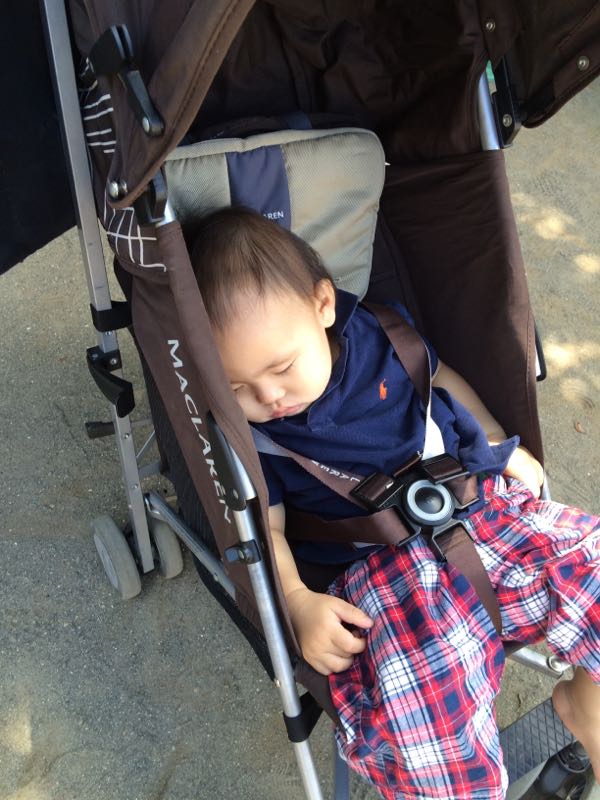 rblog-20150620234807-00.jpg
