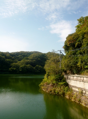 021 (369x500).jpg