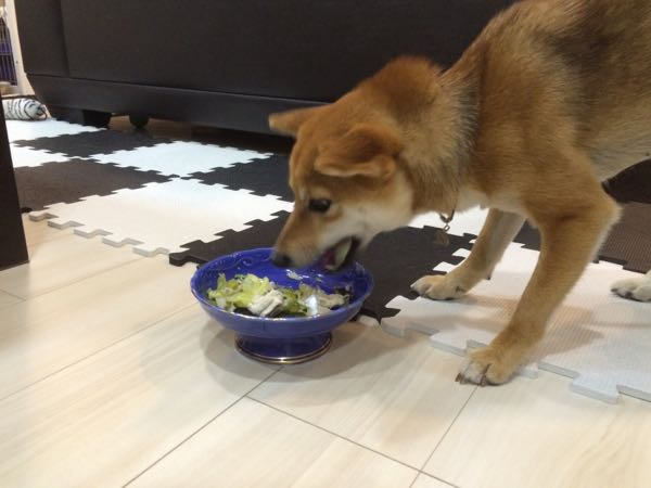 rblog-20160417003830-10.jpg