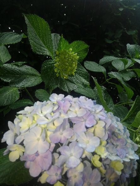 rblog-20180612113131-01.jpg