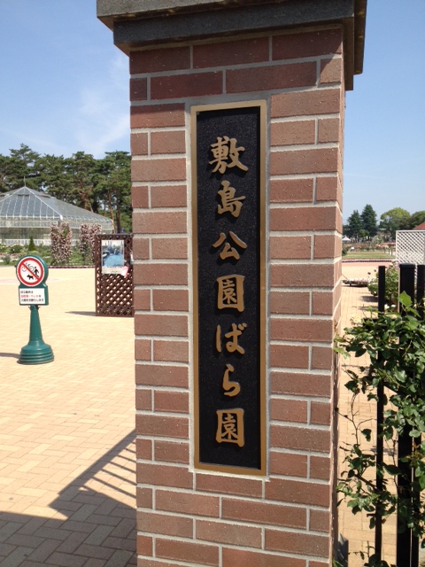 写真 1 (1).JPG
