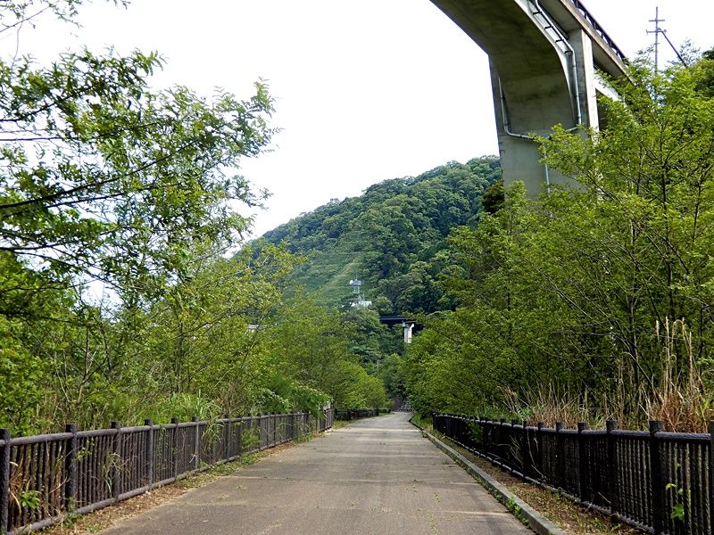 遊歩道5