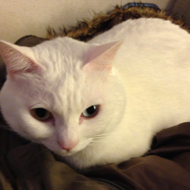 rblog-20130421001441-03.jpg