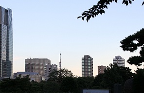 E7D_7168-2.jpg