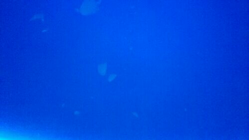 rblog-20150516203356-04.jpg