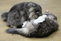 5DA_5437-22.jpg