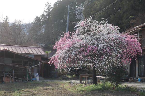 rblog-20180423000902-08.jpg