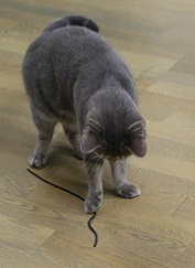 5DA_7154-26.jpg