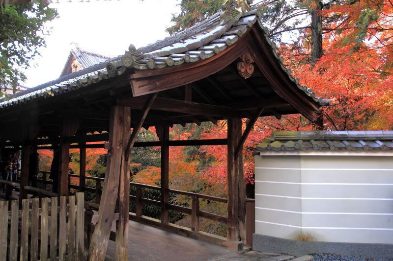 えんげつ橋_009.jpg