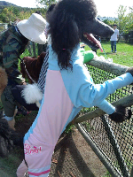 rblog-20131015171747-00.png