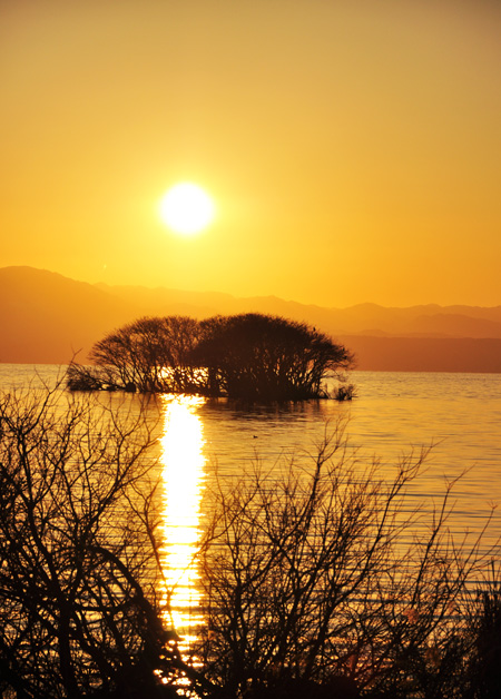 夕陽４