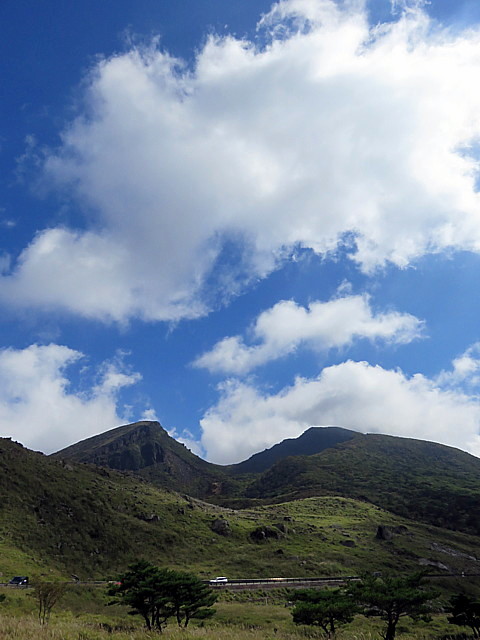 IMG_6425.jpg