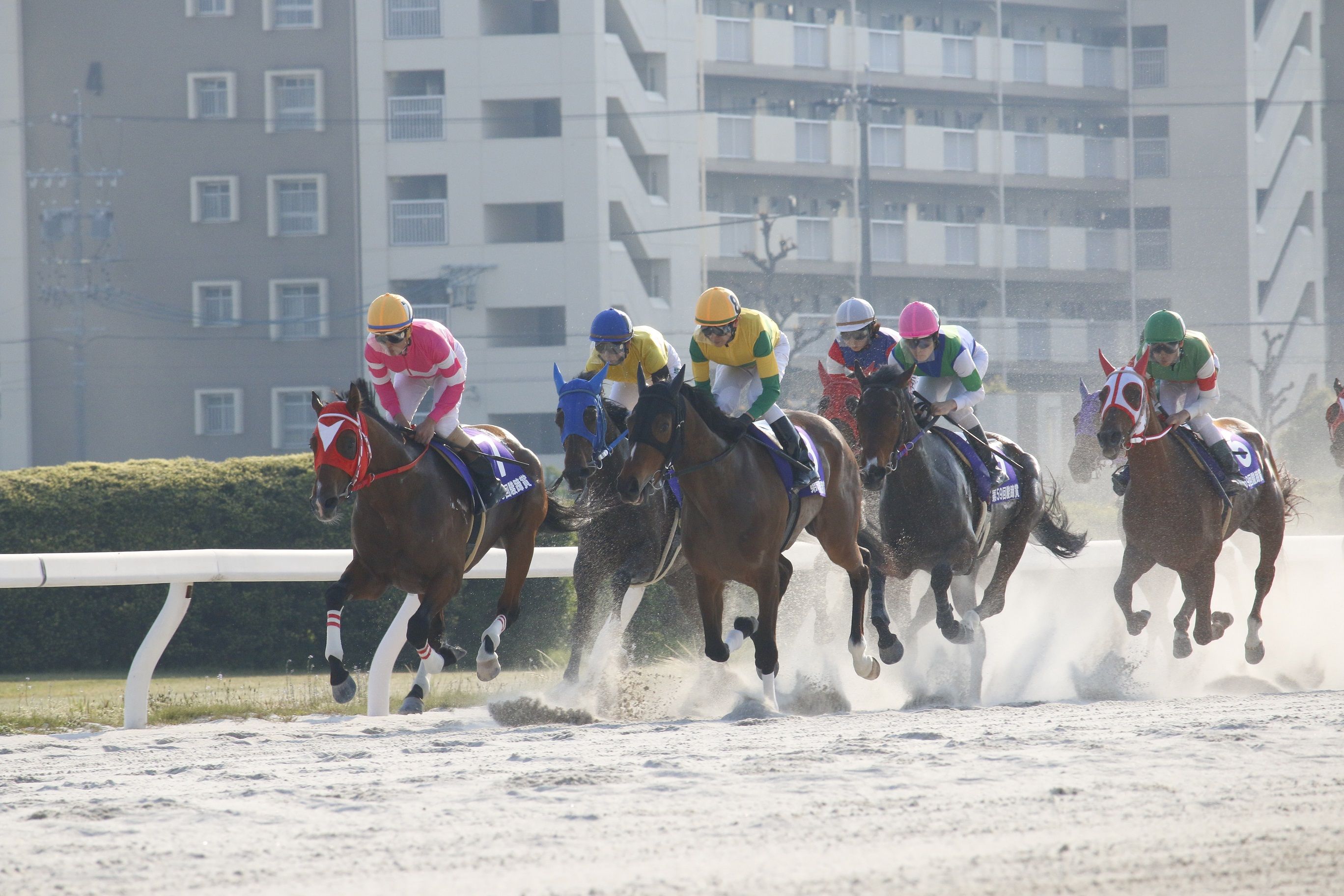 名古屋だより 仮称 地方競馬の楽天競馬 日替わりライターブログ 楽天ブログ