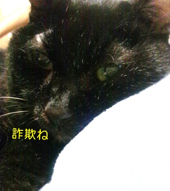 20120814_3.jpg