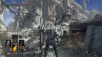 DS200.jpg