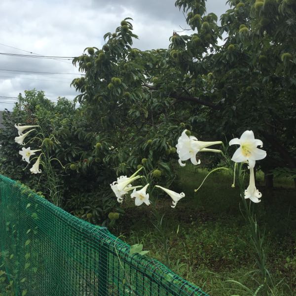 rblog-20160821221716-01.jpg
