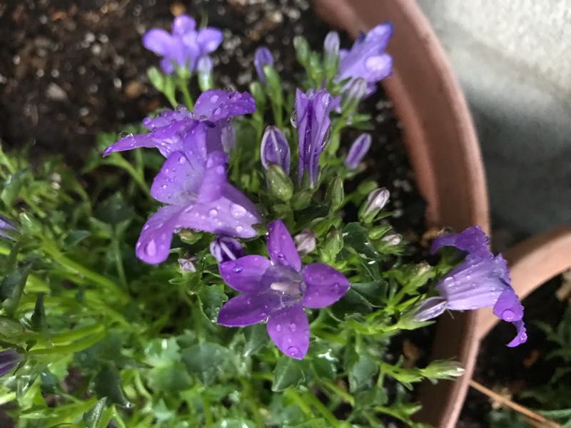 rblog-20180328191552-00.jpg