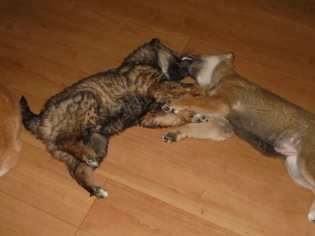 DSC01717.JPG