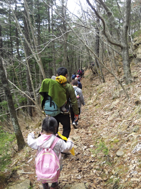 130511アポイ登山1.jpg