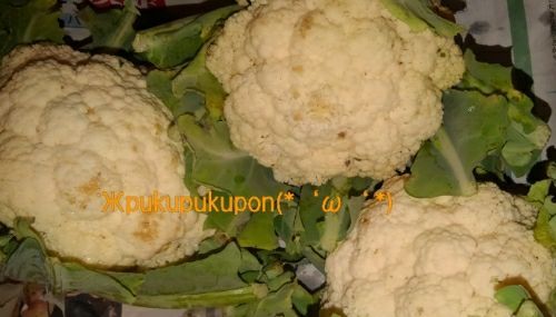 rblog-20171022235709-01.jpg