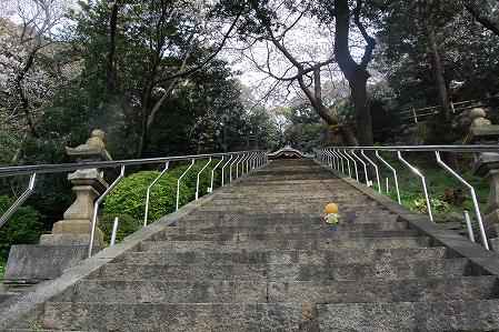 s-DSC_0435.jpg