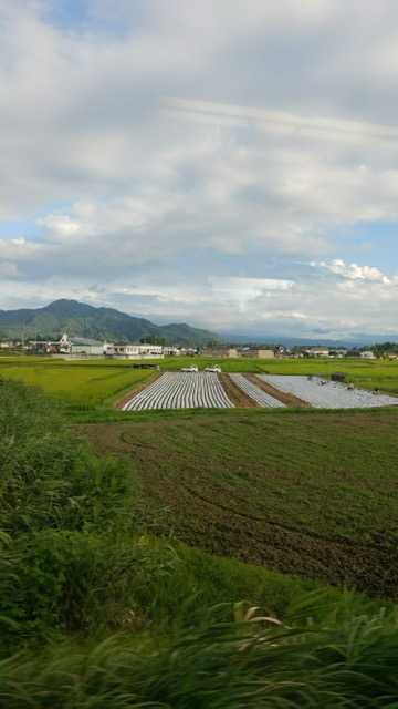 長野県旅行記⑤ 岩村田へ グッサンのブログ WALK! THIS LIFE‼ 楽天ブログ