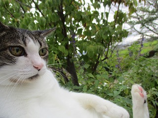 IMG_8889ss.jpg