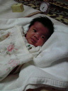 2012031720360000.jpg