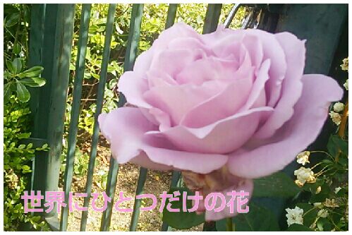 rblog-20160513200043-00.jpg