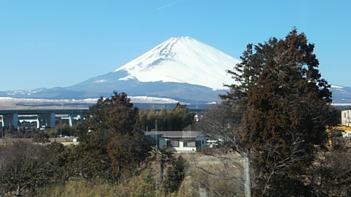 DCIM0237.jpg