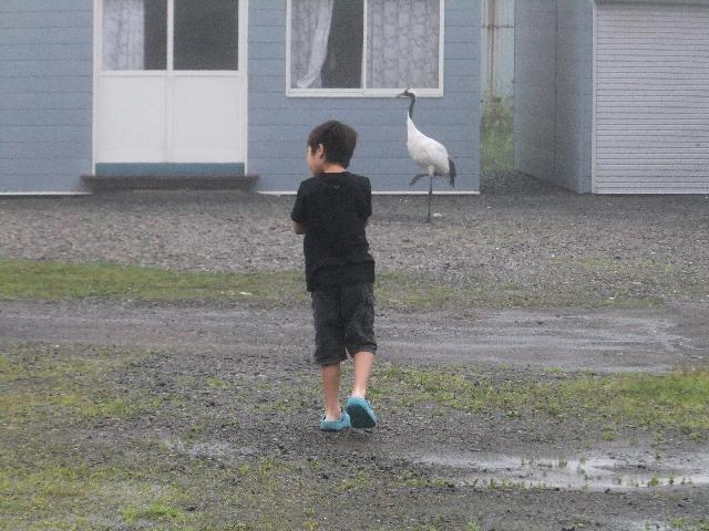 DSCF1451.jpg